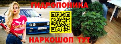 гидропоника Северобайкальск