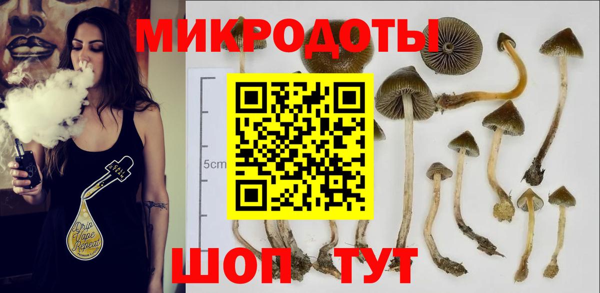 Серов  Псилоцибиновые грибы мицелий  купить наркоту  Вход с VPN 